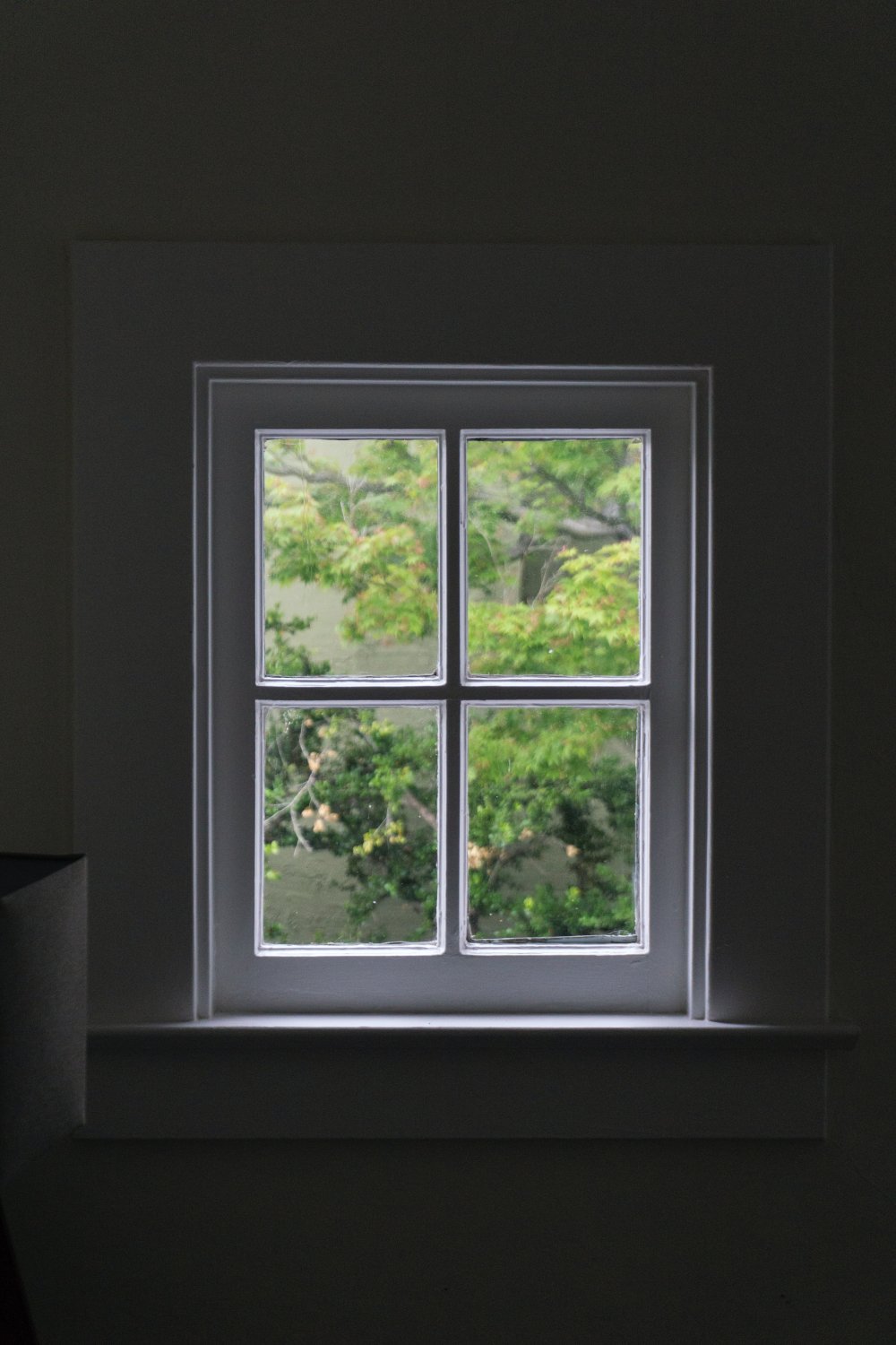 Why You Should Get Double Glazed Windows